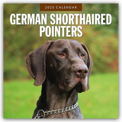 German Shorthaired Pointers 2025 Square Wall Calendar