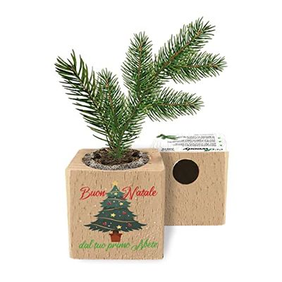 Eco-Woody Natalizio | Regalo ecologico di Natale | Cubo di legno magnetico con semi di Abete | Kit per la coltivazione facile di abete in casa