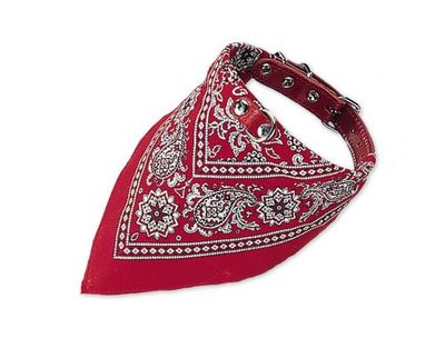 Nobby Collier avec Foulard pour Chien Rouge 55 cm