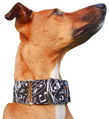 candyPet - Martingale Dog Collar, S, Music