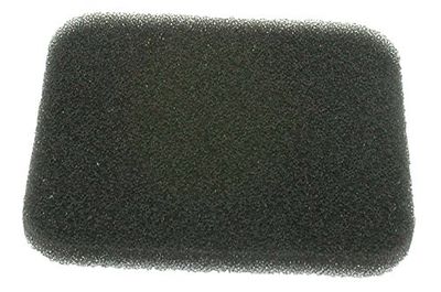 Greenstar 5723 Préfiltre pour Stihl