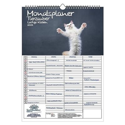 Tierzauber - Planificador de pared con diseño de gatos divertidos, planificador familiar, planificador de 4 columnas, calendario A3 para gatos divertidos 2024 Seelenzauber