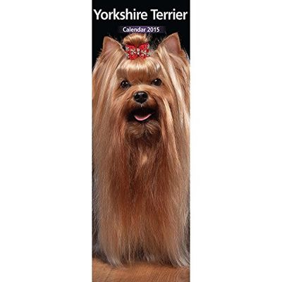 Yorkshire Terrier 2015 Slim Calendar