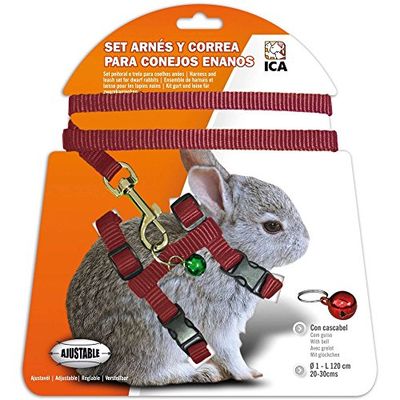 ICA DA1020 set met servies en riem voor dwerghazen, rood