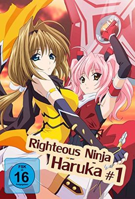 Righteous Ninja - Haruka 1