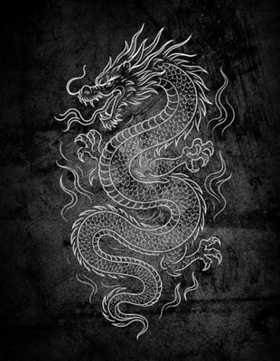 Dragon II: Premium Notebook