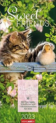 Sweet Friends Family Planner 2023. Cute Animal Children in a Practical Large Family Calendar with 5 Columns. All appointments clearly arranged in one wall calendar.