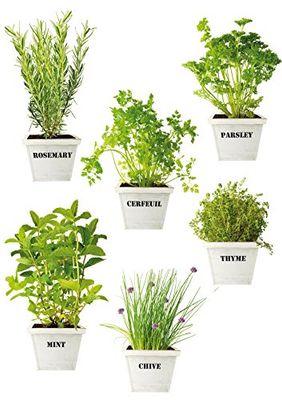 Plage 150415 Autocolante eletrostático Aromatic Plants, plástico, colorido, 29,7 x 0,1 x 21 cm