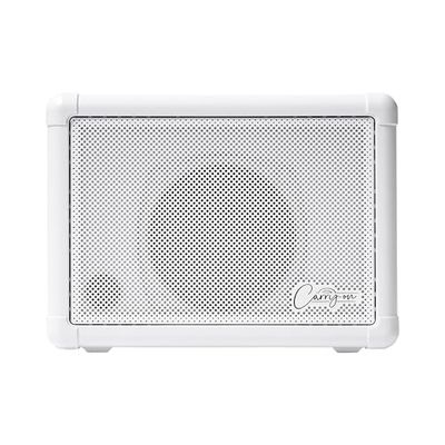 Carry-on Mini altoparlante di estensione da 3 Watt Mini altoparlante compatto 3 Watt mini amplificatore combinato portatile