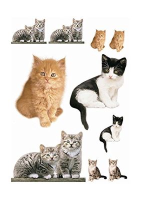 Komar - Deco-Sticker KITTY - 50 x 70 cm - Muurtattoo, Muursticker, Muursticker, Muursticker, Muurtattoo, Katten, Huiskatten, dieren, Baby - 17010h