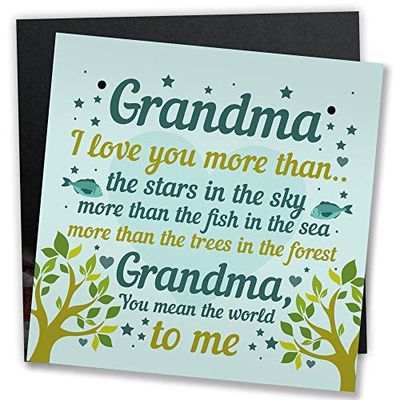 RED OCEAN Mormorgåvor för födelsedag mormor gåvor från barnbarn mormor födelsedagskort minnessak mors dag plakett