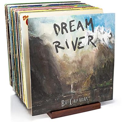 MÖNKE Platenrek - Een Minimalistisch Vormgegeven Platenhouder - 50 Lp's Inhoud - Met Een Displaygroef Aan De Voorkant (Bruin)