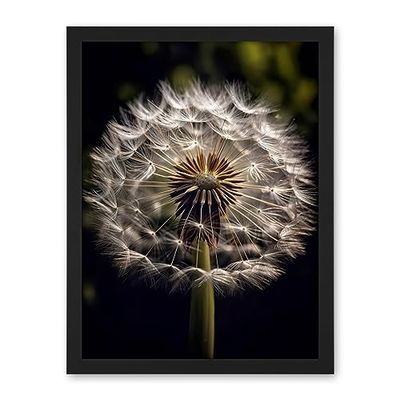 Artery8 Dandelion Flower Pappus Macro Photograph Dark Close Up Detail Artwork Framed Wall Art Print 18X24 Inch