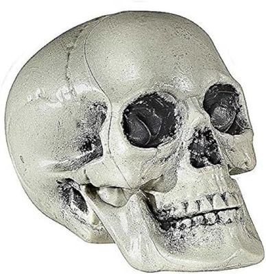 W WIDMANN MILANO Party Fashion 01379 - Teschio di plastica, 21 cm, decorazione per feste, Halloween, carnevale, festa a tema