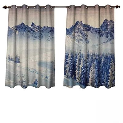 Anshesix Nature Outdoor Curtains for Patio Sheer Snowy Winter Dramatic Overcast Sky Wonderland Snowfall Seasonal Panorama Print W55 x L72 (140 cm x 183 cm)