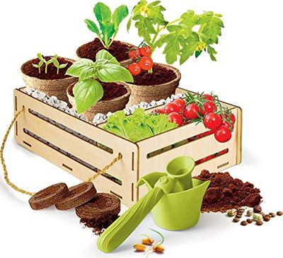 Clementoni Galileo Play for Future-Juego de jardín, Multicolor, 8,3 x 34 x 27,3 cm (59207)