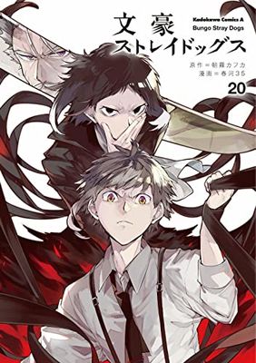 Bungo Stray Dogs - Tome 20