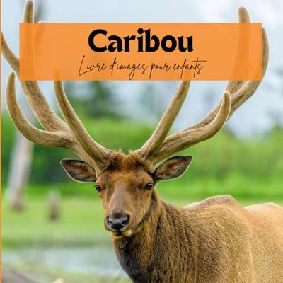 Caribou: Livre d'images pour enfants