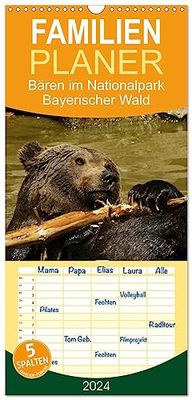 Familienplaner 2024 - Bären im Nationalpark Bayerischer Wald mit 5 Spalten (Wandkalender, 21 cm x 45 cm) CALVENDO