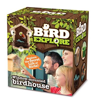 Bird Explore Bird house