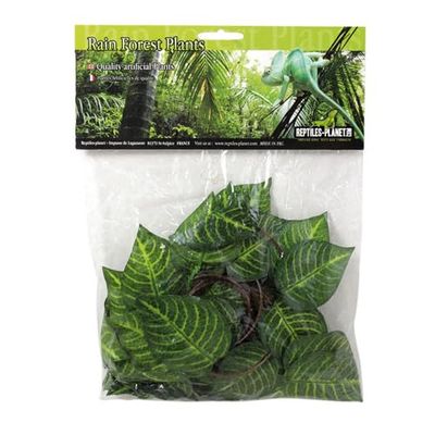Reptiles-Planet Crucero Jungle Vine, 2.6m
