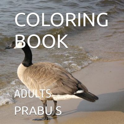 COLORING BOOK: ADULTS