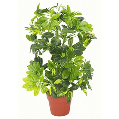 Leaf Folha 75 cm artificial Schefflera arboricola planta guarda-chuva árvore ouro capella