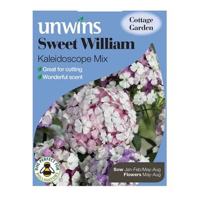 Westland caleidoscoop-mix, Sweet William