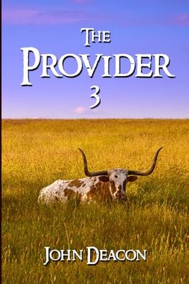 The Provider 3