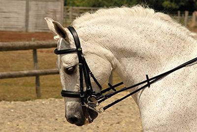 Rhinegold tysk läderkomfort Havana Pony