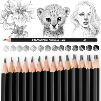 Blendura 14 Professional Drawing Pencils Sketching Pencils Set 12B, 10B, 8B, 7B, 6B, 5B, 4B, 3B, 2B, B, HB, 2H, 4H, 6H, Black, 14 unità (Confezione da 1), 14 Professional Drawing Pencils Sketching