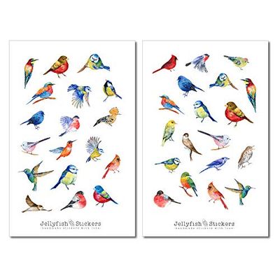 Set di adesivi sugli uccelli - Adesivo per diario, adesivo per planner, natura, adesivo colorato, giardino, planner dei ricordi, uccello