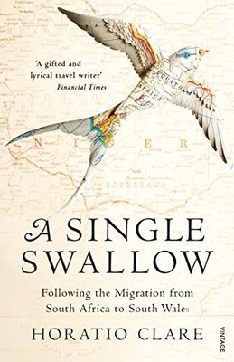 A Single Swallow: Following An Epic Journey From South Africa To South Wales [Lingua Inglese]