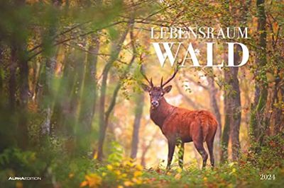 Lebensraum Wald 2024 - Picture Calendar 49.5 x 33 cm - Animals and Plants in Our Native Forests - Wall Calendar - Wall Planner - Animal Calendar