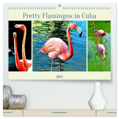 Pretty Flamingos in Cuba (hochwertiger Premium Wandkalender 2025 DIN A2 quer), Kunstdruck in Hochglanz: Flamingos an der kubanischen Küste