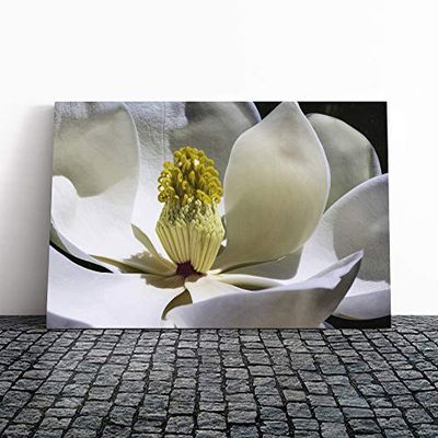 Big Box Art Canvas Print Wall Art White Magnolia Flower | Mounted and Stretched Box Frame Picture | Home Decor for Kitchen, Living, Dining Room, Bedroom, Hallway, Multi-Colour, 20x14 Inch