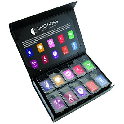 Monteverde GIFT SET 10 INK EMOTIONS