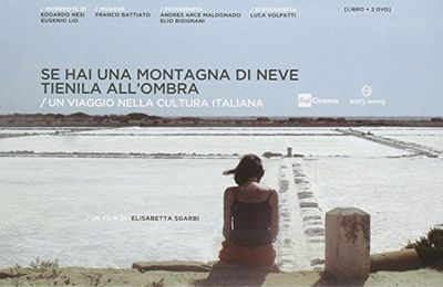 Se hai una montagna di neve, tienila all'ombra. 2 DVD con Libro