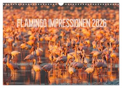 Flamingo Impressionen 2026 (Wandkalender 2026 DIN A3 quer), CALVENDO Monatskalender: Grazile Vögle in rosarot
