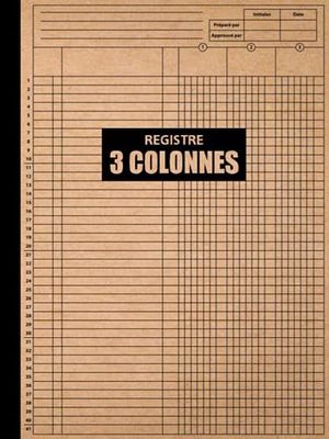 Registre 3 Colonnes: Livre comptable 3 colonnes pour le suivi quotidien et mensuel des revenus et des dépenses, la planification financière pour suivre ton budget familial.