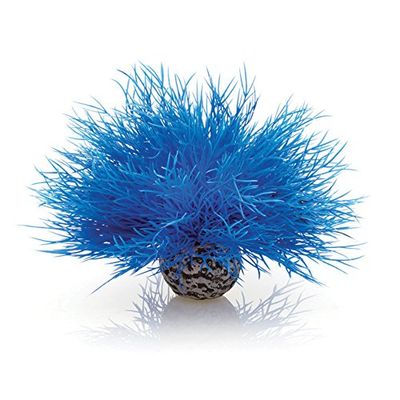 biOrb Acquario Giglio Mare Blu