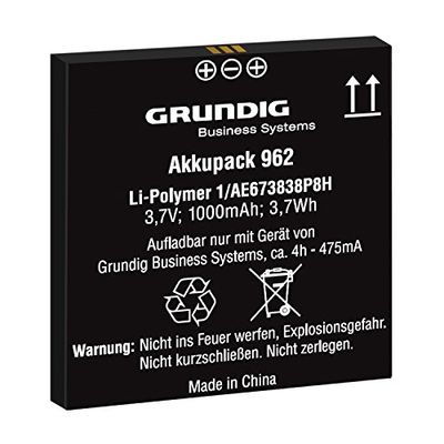 Grundig Li-Ion 1000 mAh batería/Pila – Ferroviario dictáfono (batería/Pila, Grundig, Digta 7, Negro, Lithium-Ion (Li-Ion), 1000 mAh)