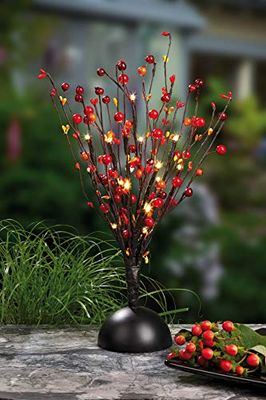 HELLUM 300208 Arbre décoratif à LED avec fruits et 16 lumières blanc chaud 40 cm Fonctionne avec piles
