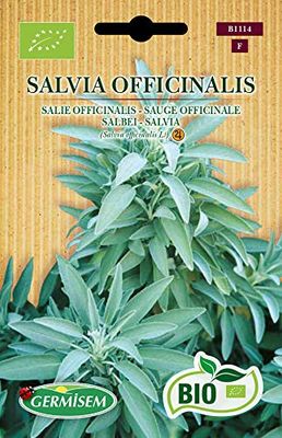 Germisem Bio Graines Sauge officinale SALVIA OFFICINALIS