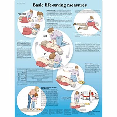 3B Scientific Wykres podstawowy Life Support