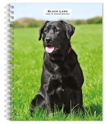 Black Labrador Retrievers | 2025 6 x 7.75 Inch Spiral-Bound Wire-O Weekly Engagement Planner Calendar | New Full-Color Image Every Week | BrownTrout | Animals Dog Breeds