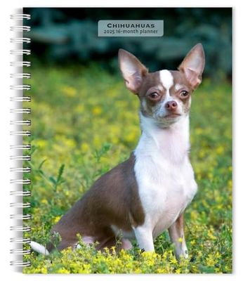 Chihuahuas | 2025 6 x 7.75 Inch Spiral-Bound Wire-O Weekly Engagement Planner Calendar | New Full-Color Image Every Week | BrownTrout | Animals Small Dog Breeds