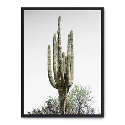 Cuadro cactus saguaro i_FASE5