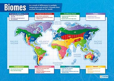 Daydream Education Biomes | Geografía pósteres | Papel brillante de 850 mm x 594 mm (A1) | Geografía aulas | Carteles educativos