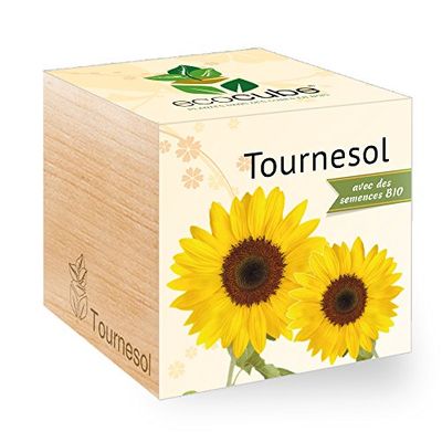 Feel Green - Ecocube Zonnebloem